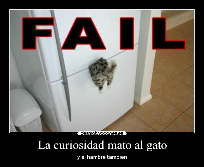 carteles gato muerto desmotivaciones