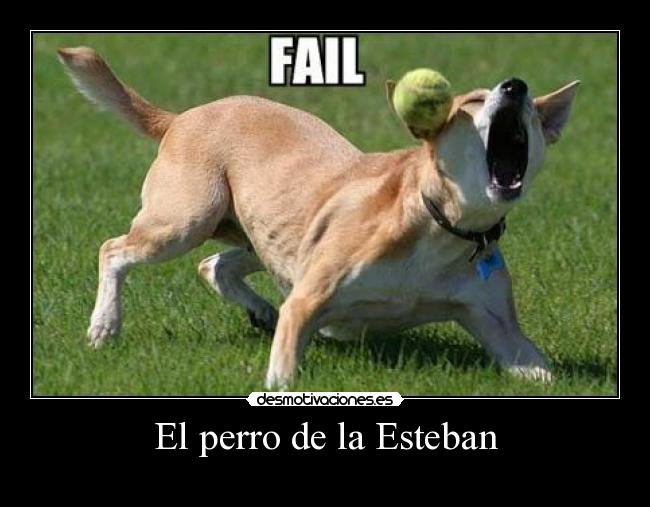 El perro de la Esteban - 