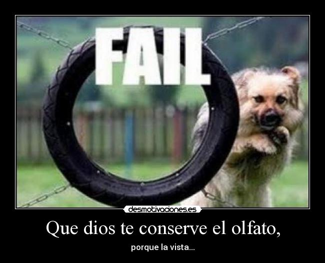 Que dios te conserve el olfato, - porque la vista...