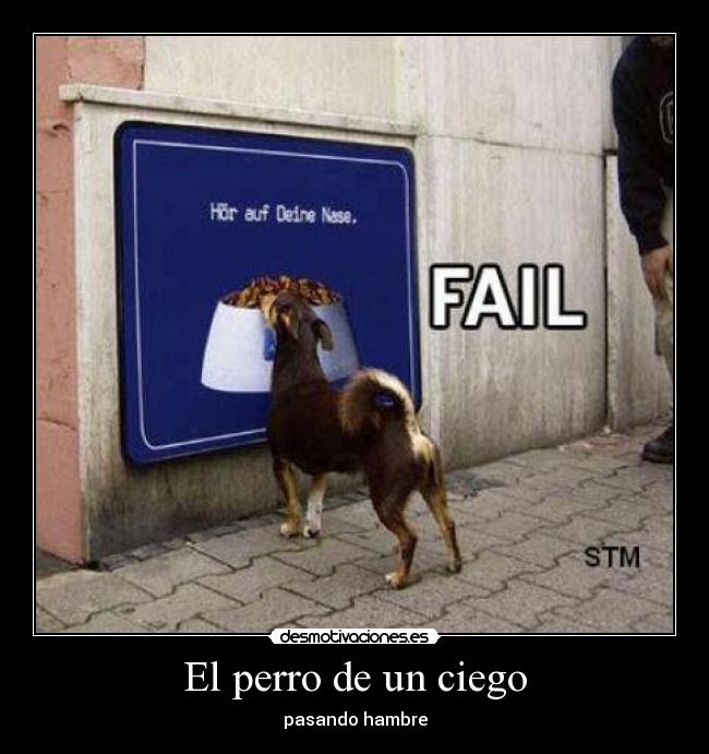 carteles perro ciego desmotivaciones