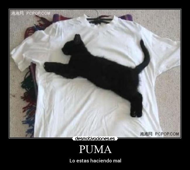 PUMA -
