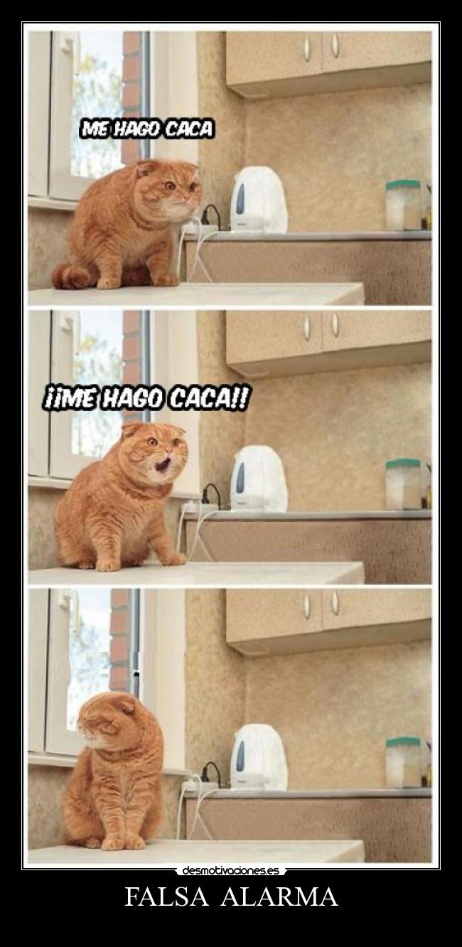 FALSA ALARMA -