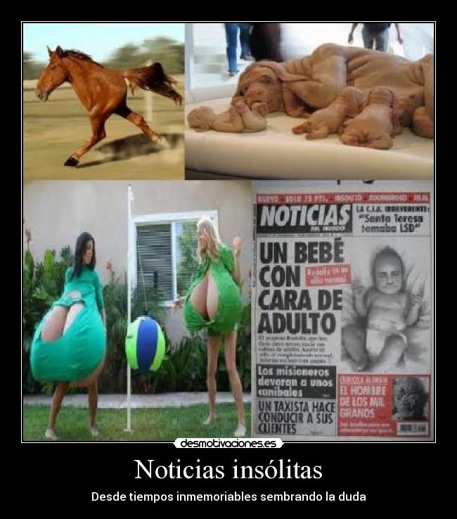 Noticias insólitas - 