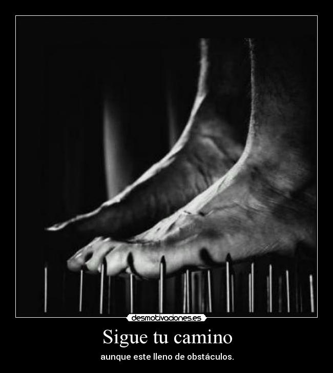 Sigue tu camino -
