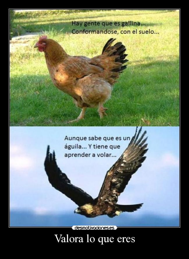 Valora lo que eres -