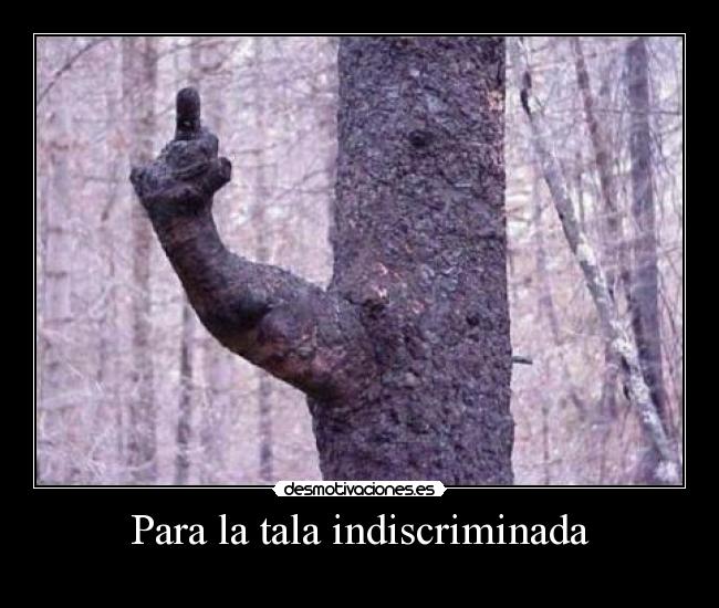 carteles arbol desmotivaciones