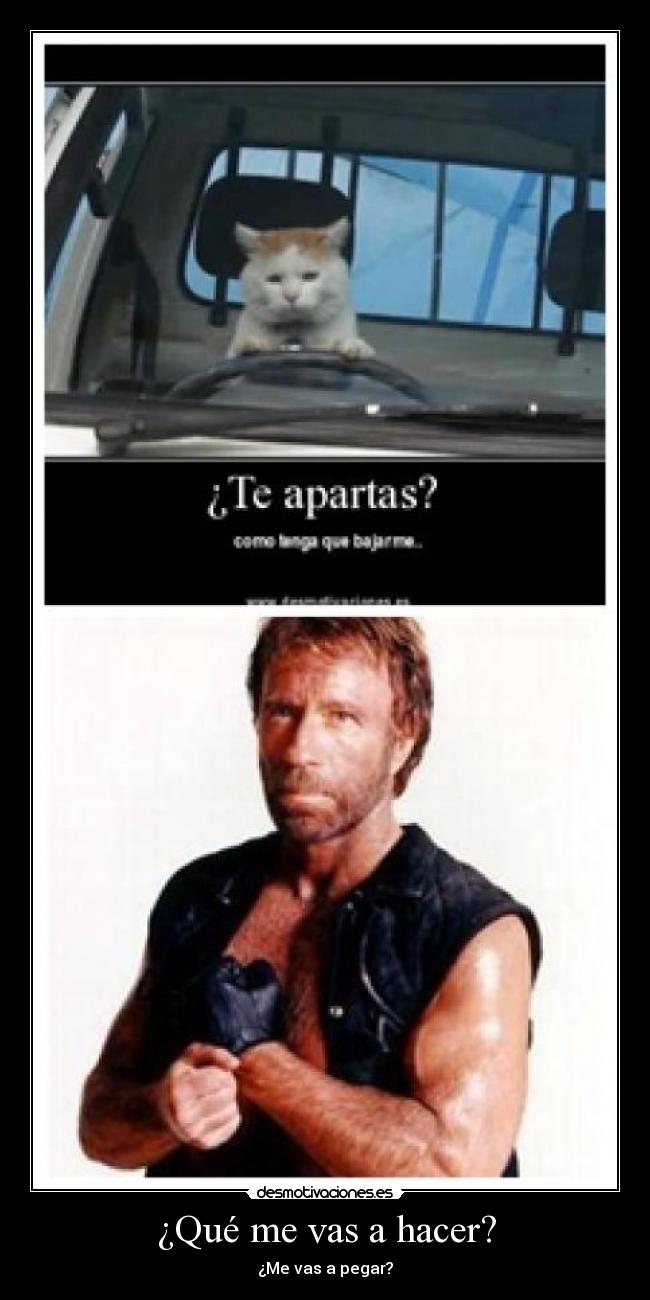¿Qué me vas a hacer? -