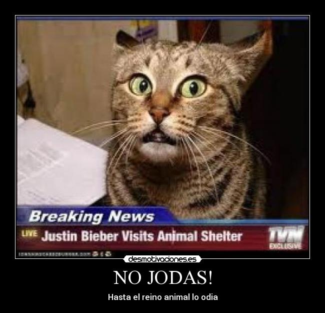 NO JODAS! - 
