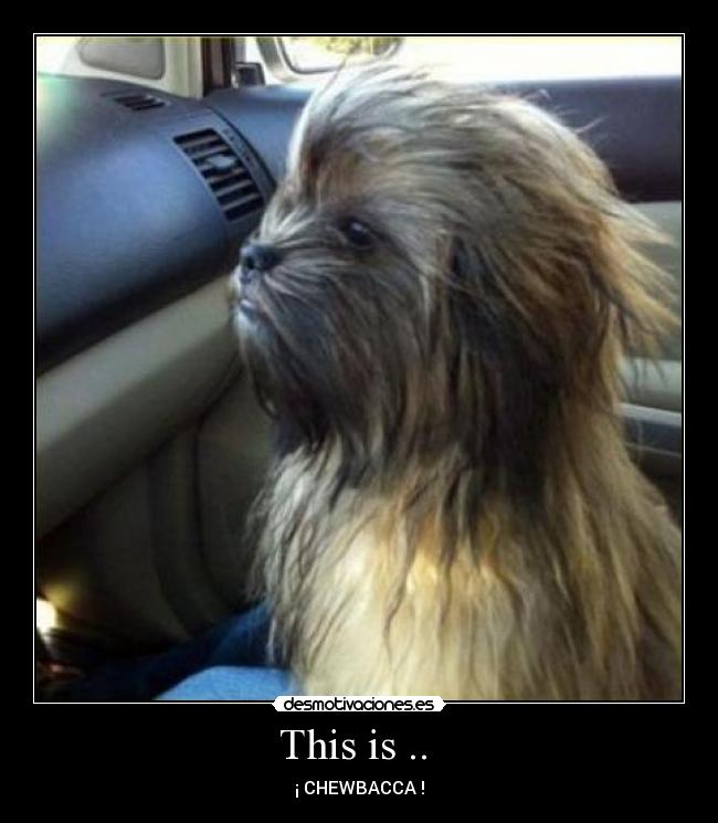 This is ..  - ¡ CHEWBACCA !
