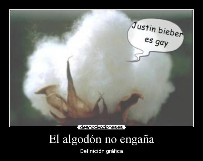 El algodón no engaña - 
