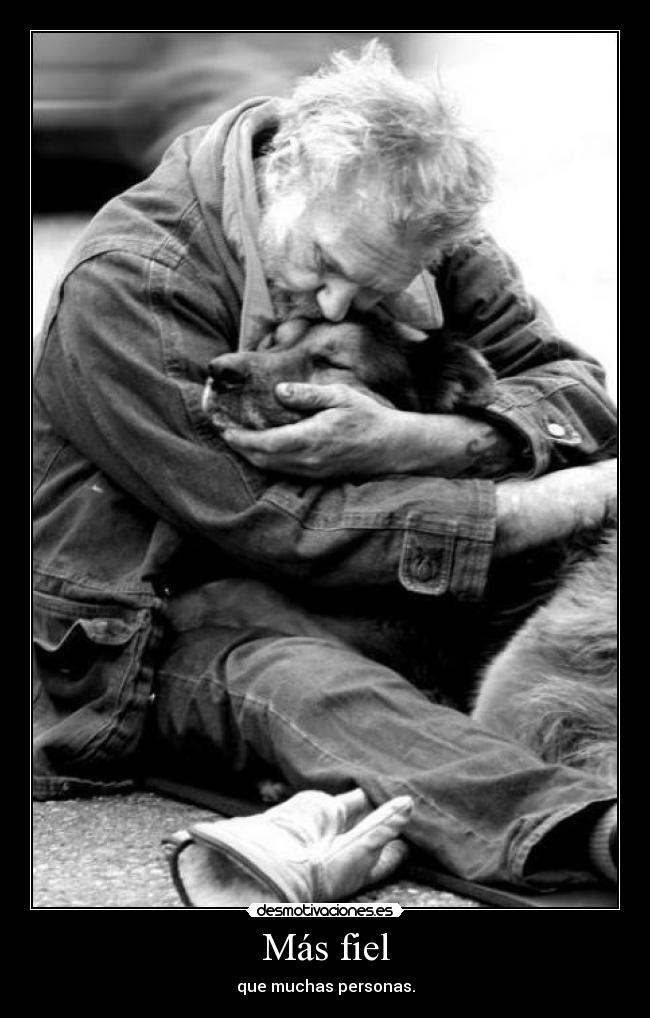 Más fiel - 