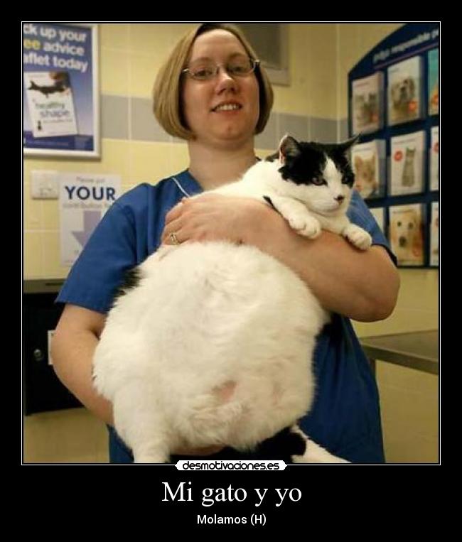 Mi gato y yo - Molamos (H)