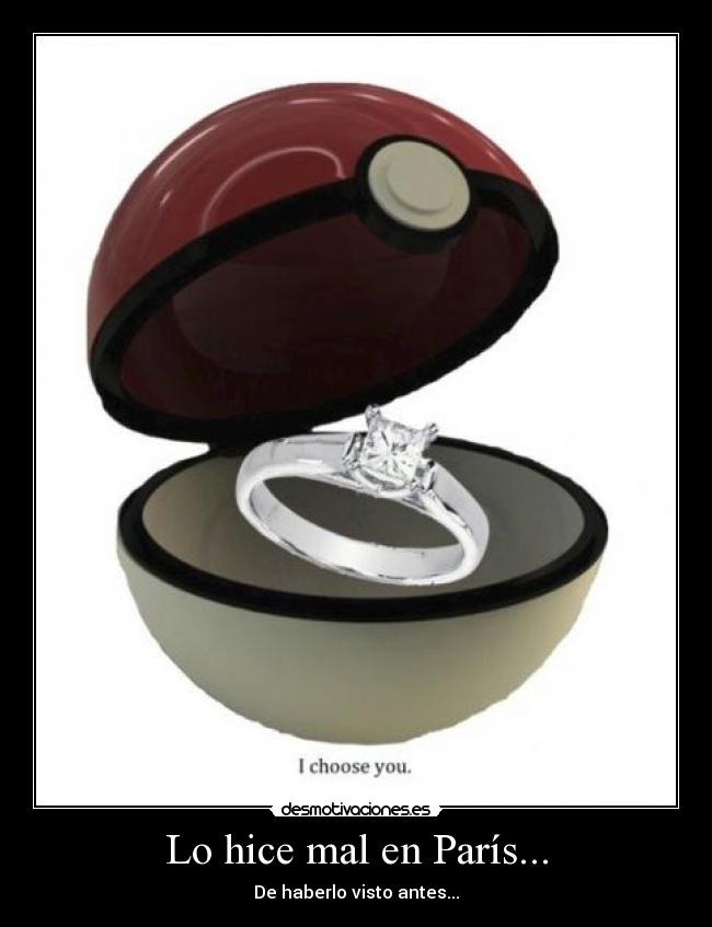 Lo hice mal en París... - De haberlo visto antes...