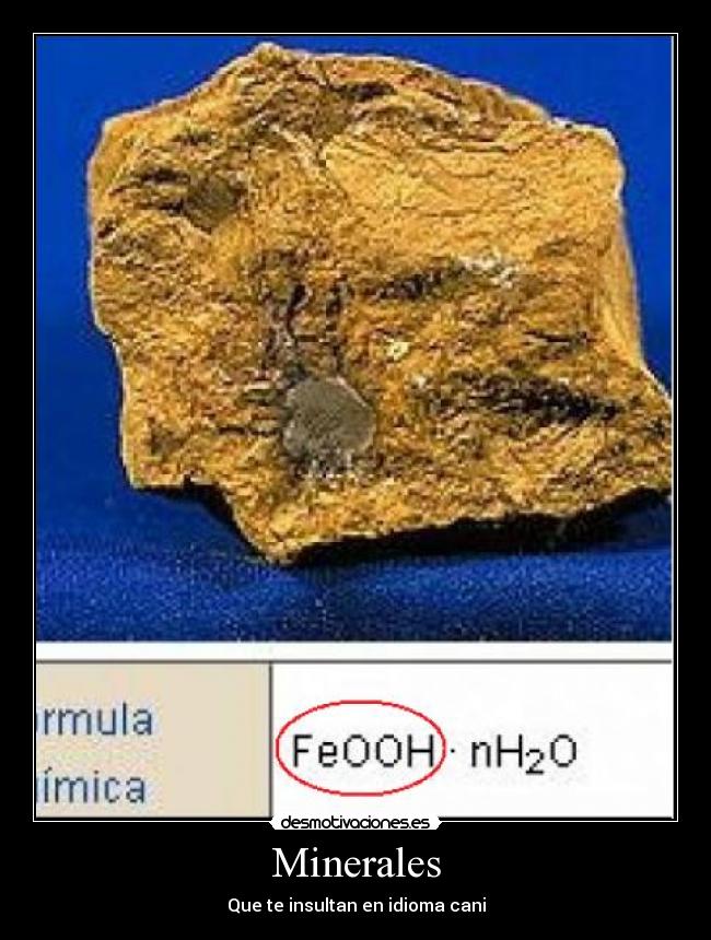 Minerales - Que te insultan en idioma cani