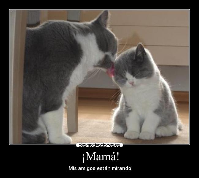 ¡Mamá! -