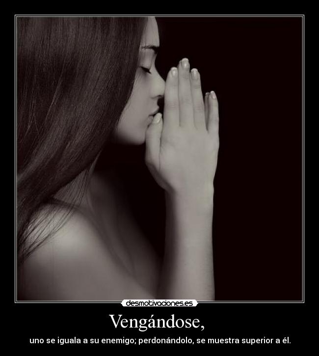 carteles perdon desmotivaciones