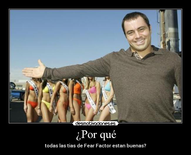 ¿Por qué - todas las tias de Fear Factor estan buenas?
