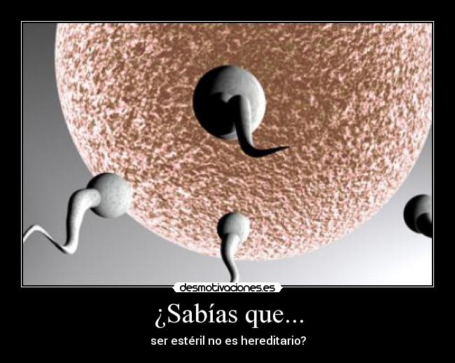 ¿Sabías que... - ser estéril no es hereditario?