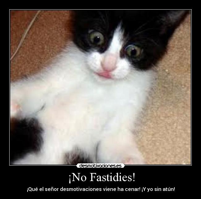 ¡No Fastidies! -