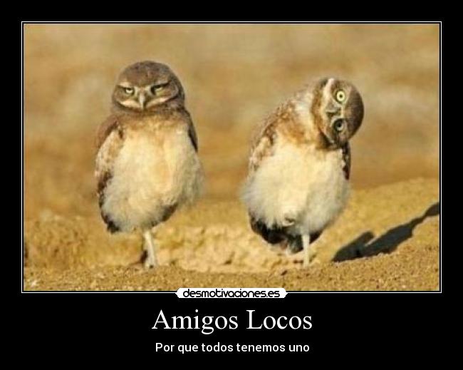 Amigos Locos - Por que todos tenemos uno