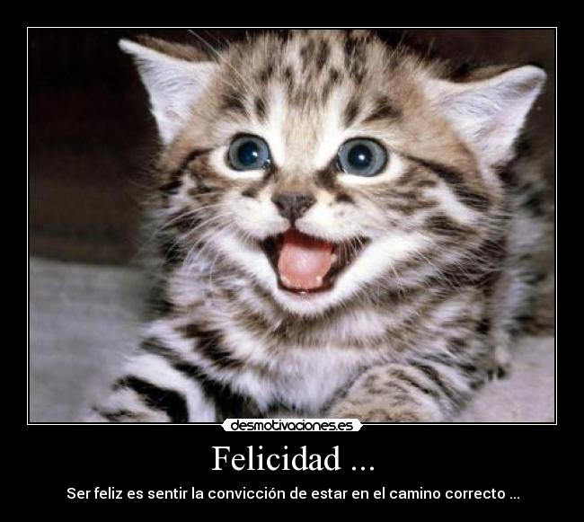 Felicidad ... - Ser feliz es sentir la convicción de estar en el camino correcto ...