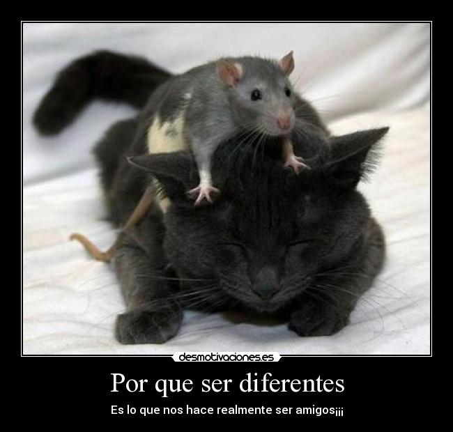 Por que ser diferentes - Es lo que nos hace realmente ser amigos¡¡¡
