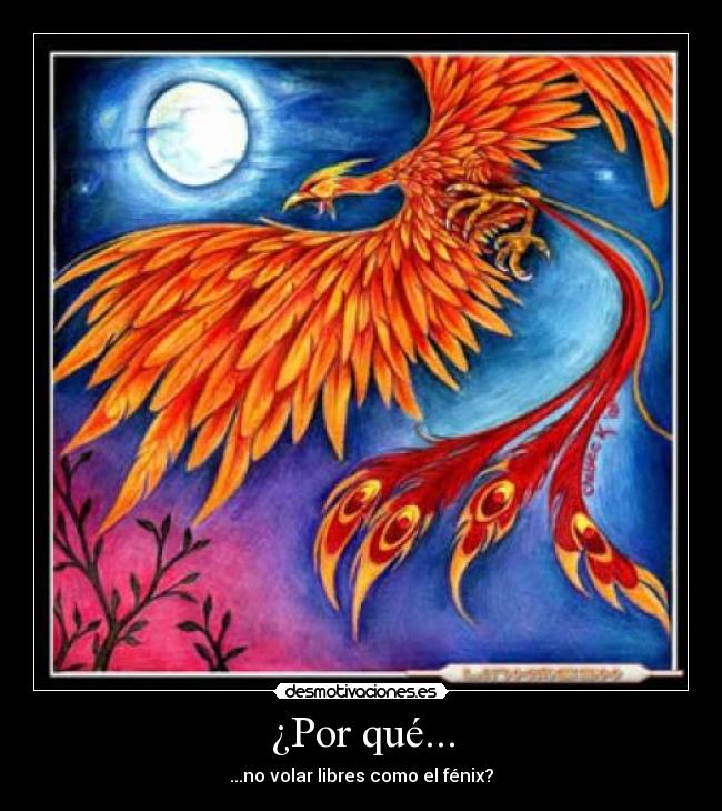 carteles fenix libertad desmotivaciones