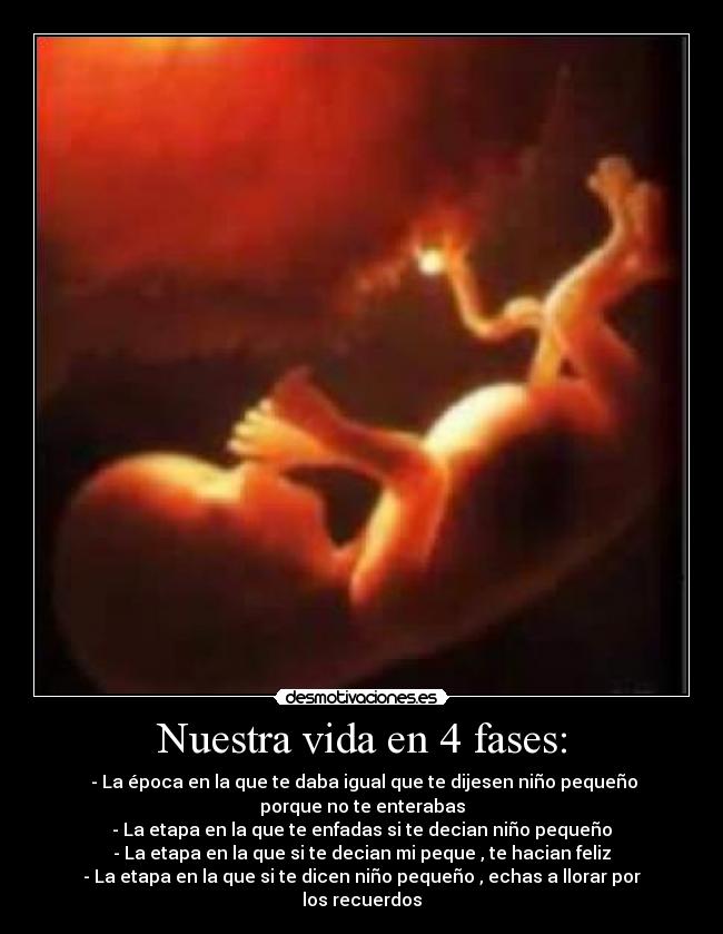 Nuestra vida en 4 fases: - - La época en la que te daba igual que te dijesen niño pequeño porque no te enterabas
- La etapa en la que te enfadas si te decian niño pequeño
- La etapa en la que si te decian mi peque , te hacian feliz
- La etapa en la que si te dicen niño pequeño , echas a llorar por los recuerdos