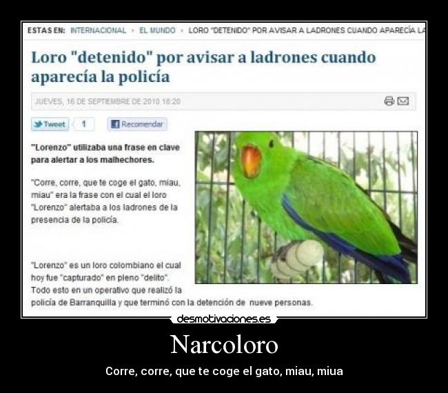 Narcoloro - 