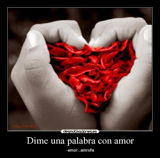 carteles amor amor desmotivaciones