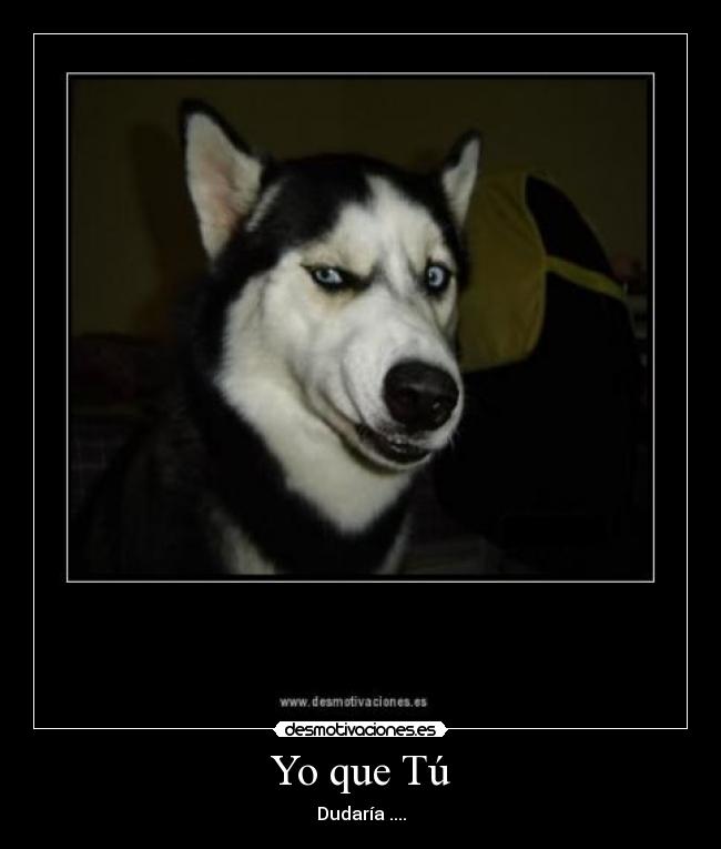Yo que Tú - Dudaría ....