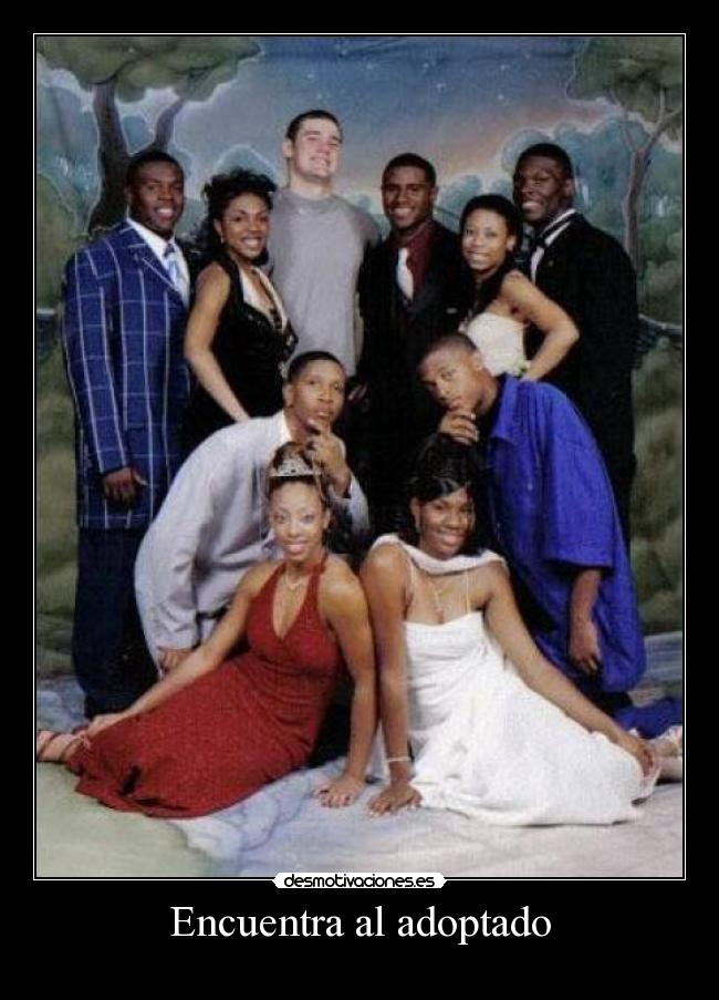 carteles adoptado desmotivaciones