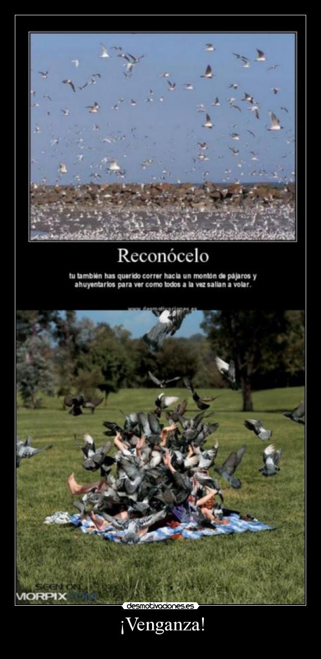 ¡Venganza! - 