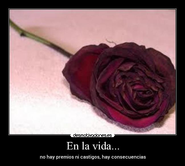 En la vida... -