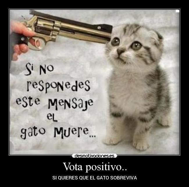 Vota positivo.. -