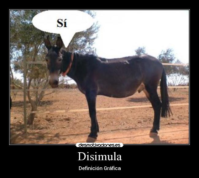 Disimula -