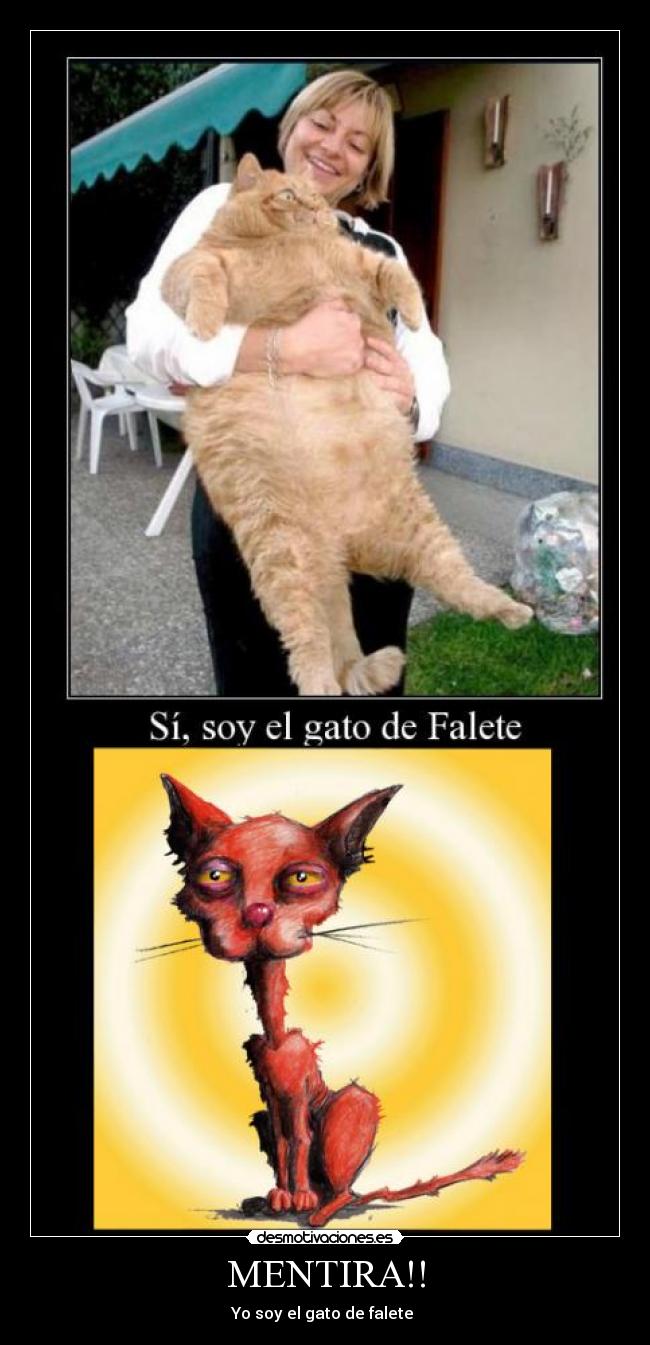 MENTIRA!! - Yo soy el gato de falete 