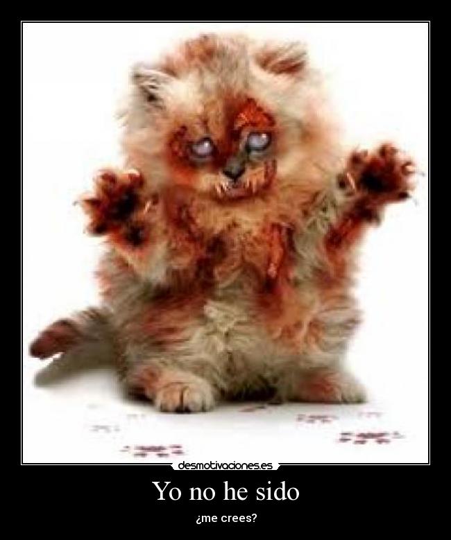 Yo no he sido -