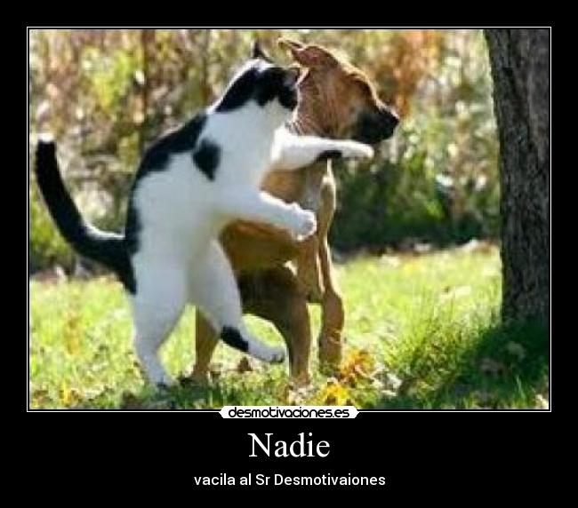 carteles dispot desmotivaciones