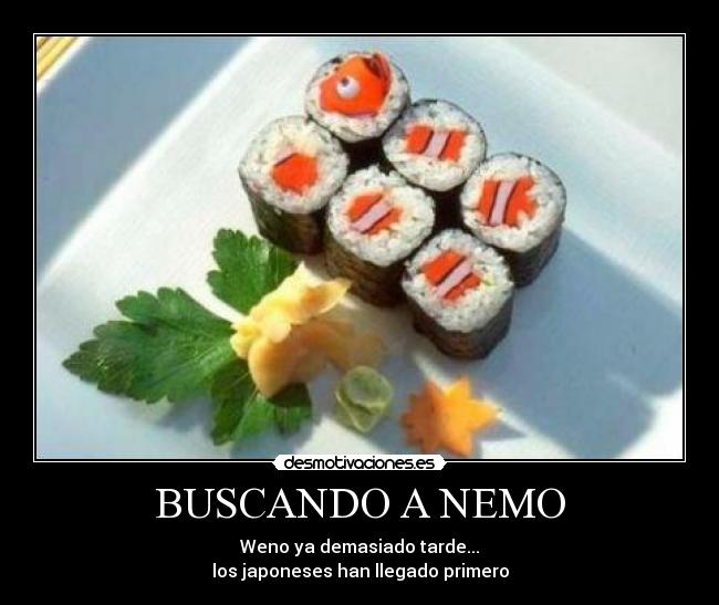 BUSCANDO A NEMO -