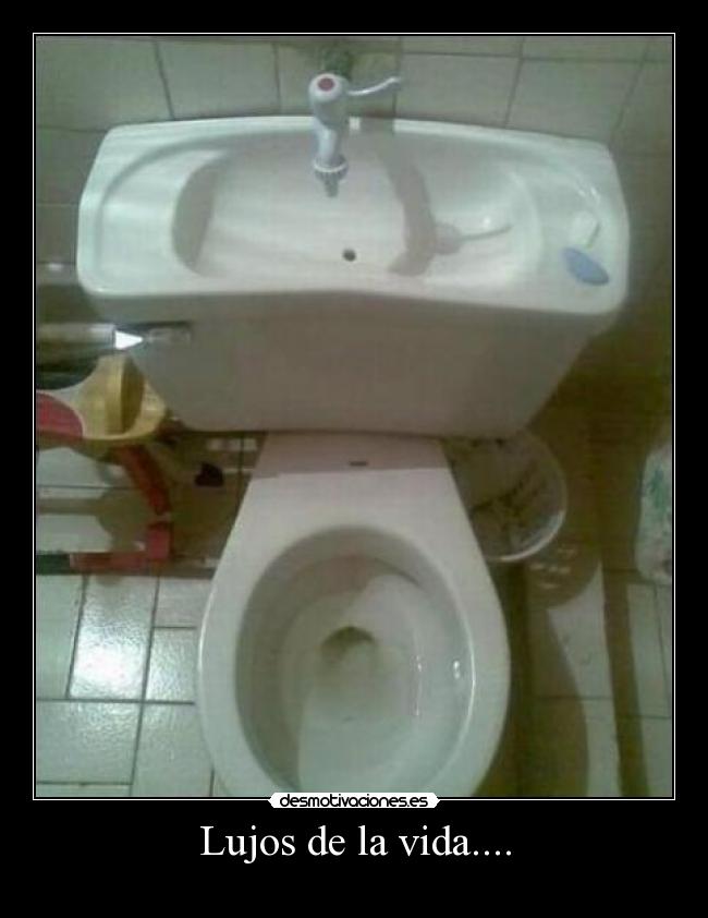Lujos de la vida.... - 