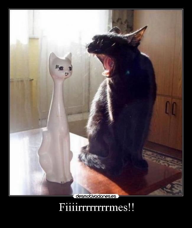 Fiiiirrrrrrrrmes!! -