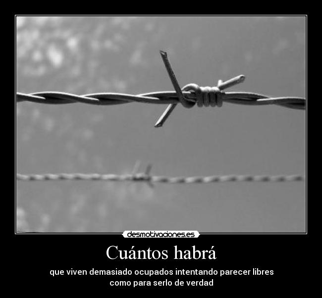 Cuántos habrá -