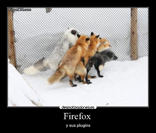 Firefox  - 