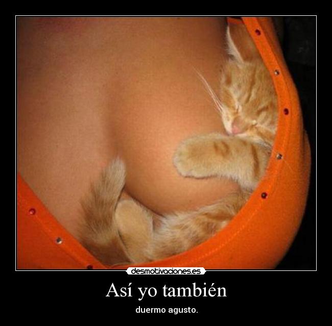 Así yo también - duermo agusto.