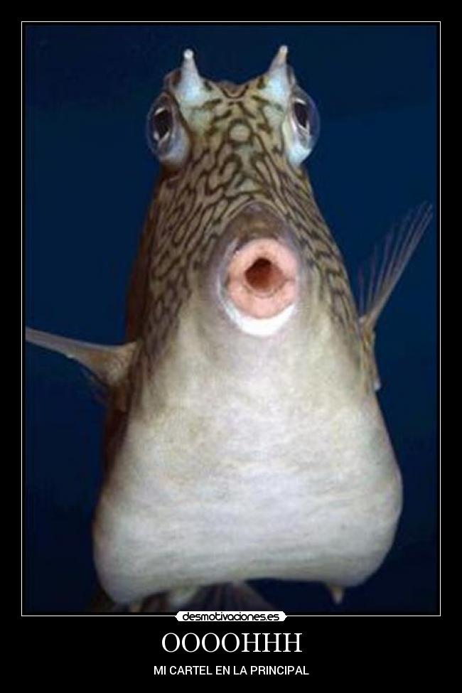 OOOOHHH - MI CARTEL EN LA PRINCIPAL