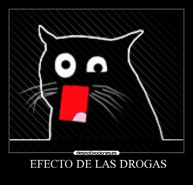  EFECTO DE LAS DROGAS - 