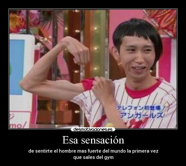 carteles gym desmotivaciones