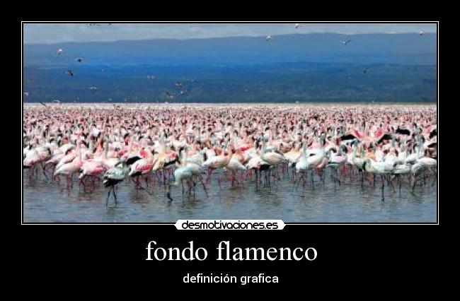fondo flamenco - definición grafica