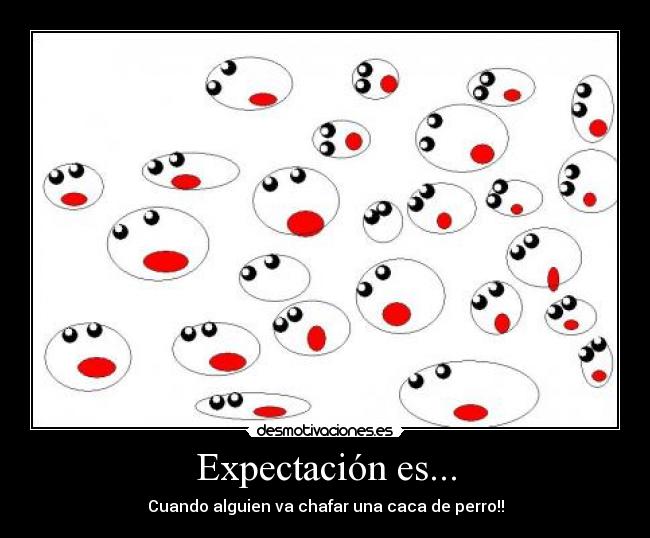 Expectación es... -